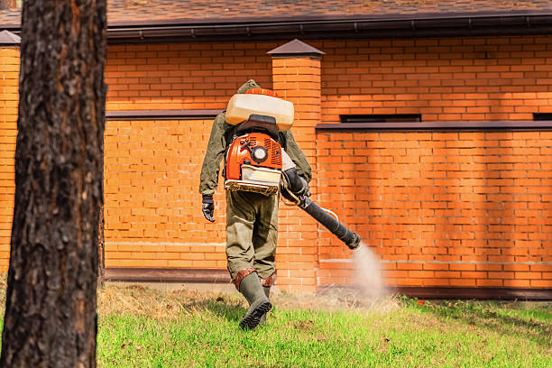 Trusted Cockroach Control service in West Wendover, NV - Nex Pest Control